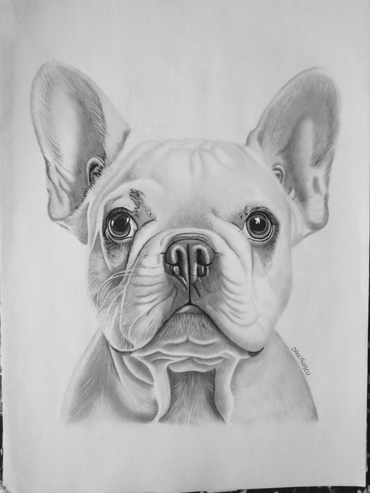 Retratos/Desenho a lápis grafite