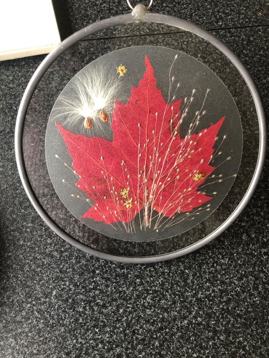 Artesanato Folha Plátano Canadá em vidro  (Oferta Magneto)