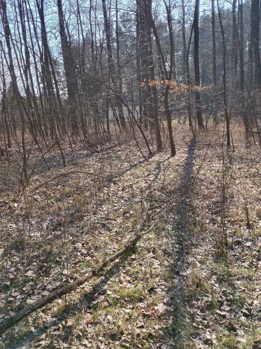 Działka z pozwoleniem na zabudowę
