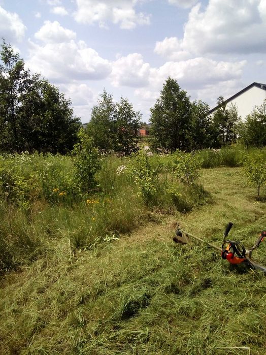 Przycinanie tuj krzewów drzew koszenie trawy