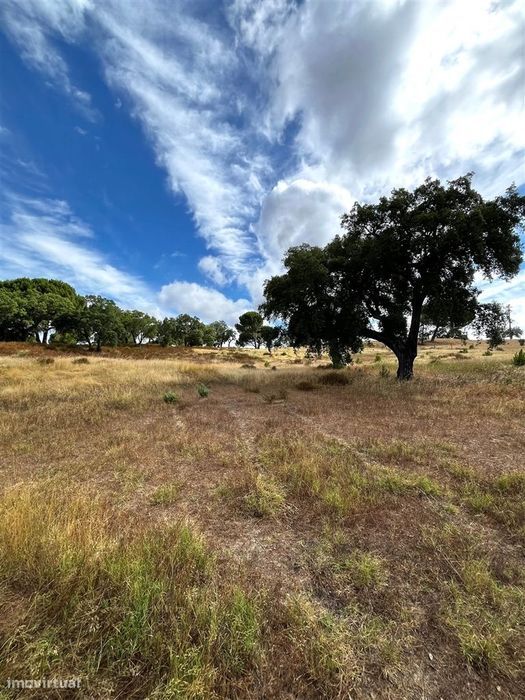 Quinta >=T10 Venda em Cortiçadas de Lavre e Lavre,Montemor-o-Novo