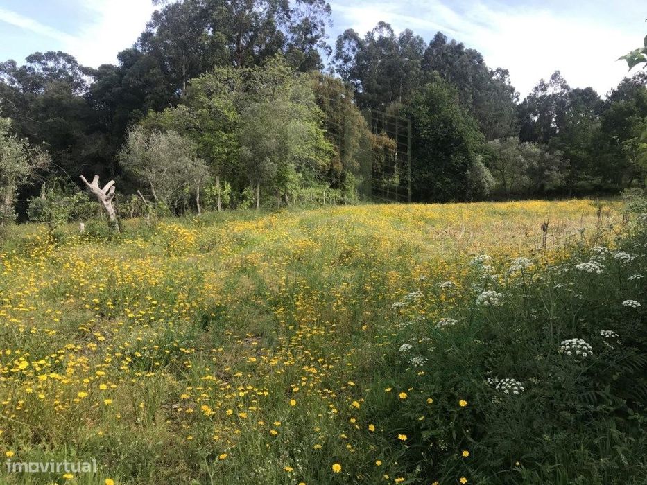 Terreno para venda