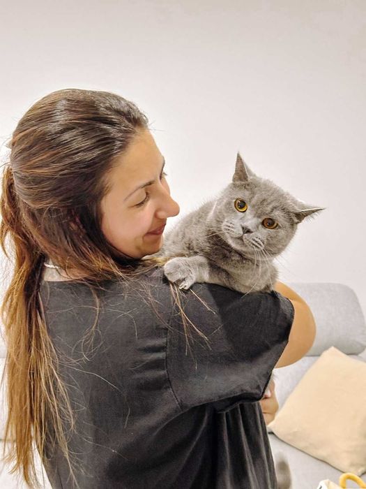 Catsitting personalizado do domicílio em Almada