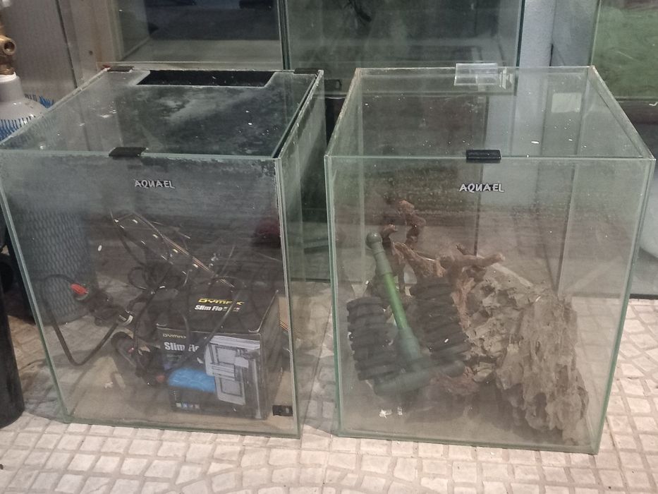 Vendo aquarios todos com tampa e varios tamanhos