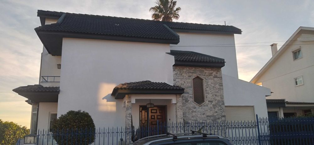 Reparacao substibuicao telhados pintor