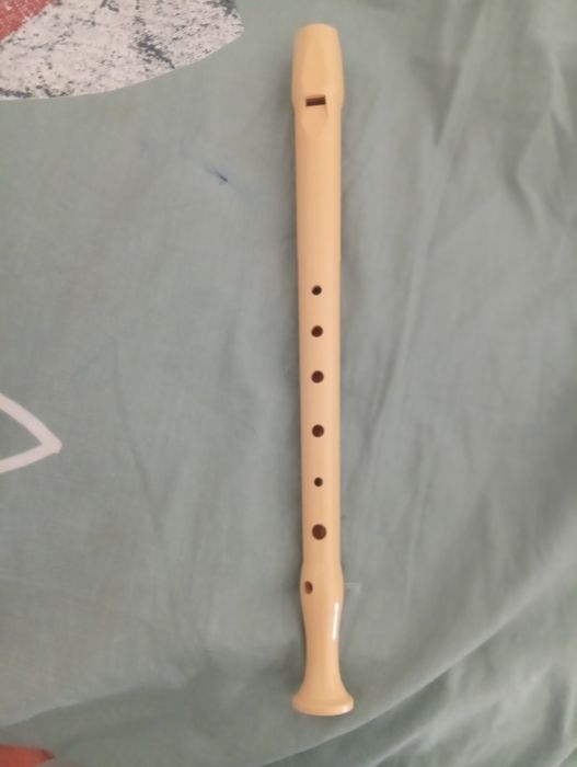 Guitarra infantil e flauta honner