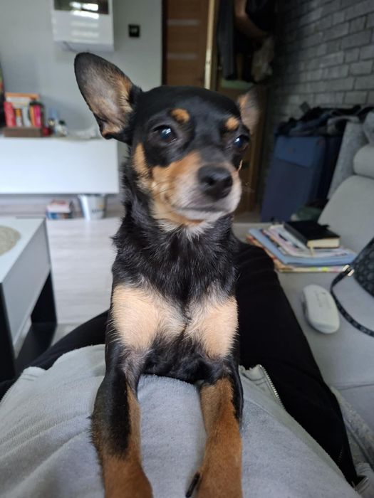 Nela- mała iskierka z charakterem