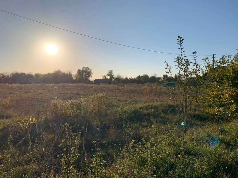 житловий будинок та земельна ділянка 46,5 сот