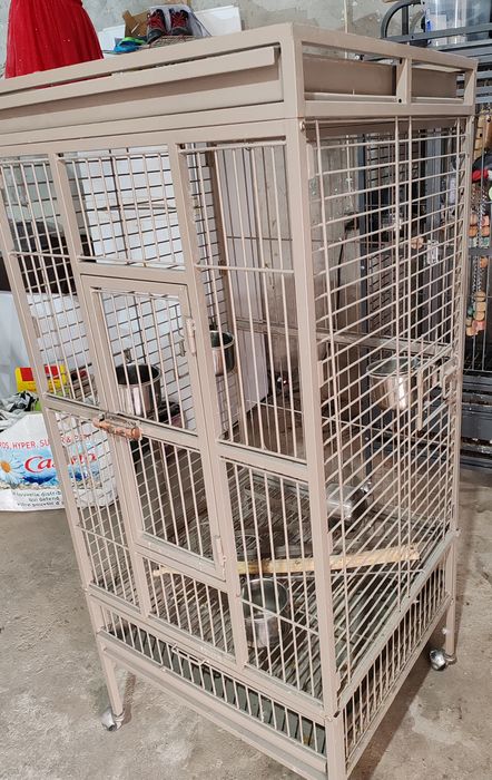 Gaiola de marca montana para papagaios