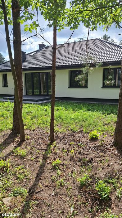 Dom Legionowo Serock Marynino Skowronkowa pod lasem