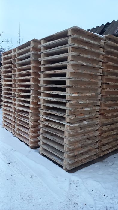 Щити, для равликів