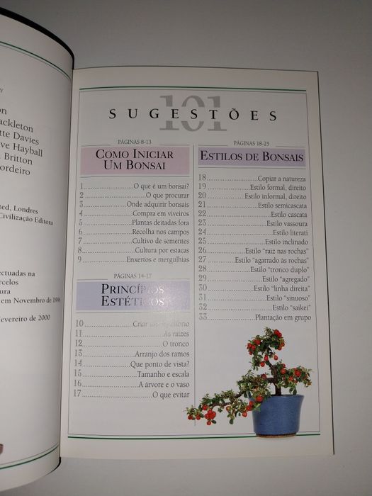 Bonsai - 101 Sugestões