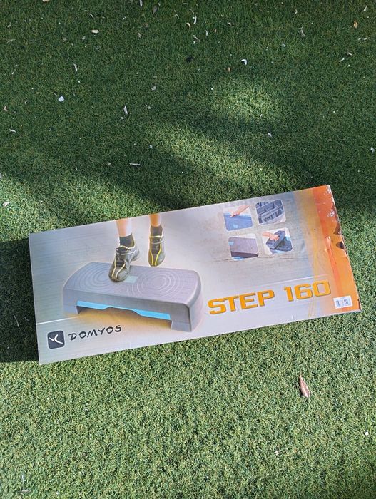 Step  160 Domyos447456961931530240