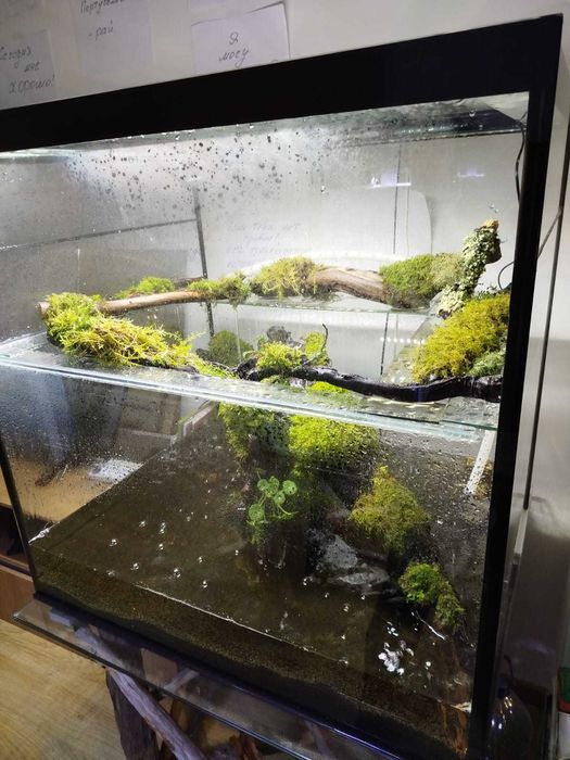 Vendemos aquário - paludário, nova opção!