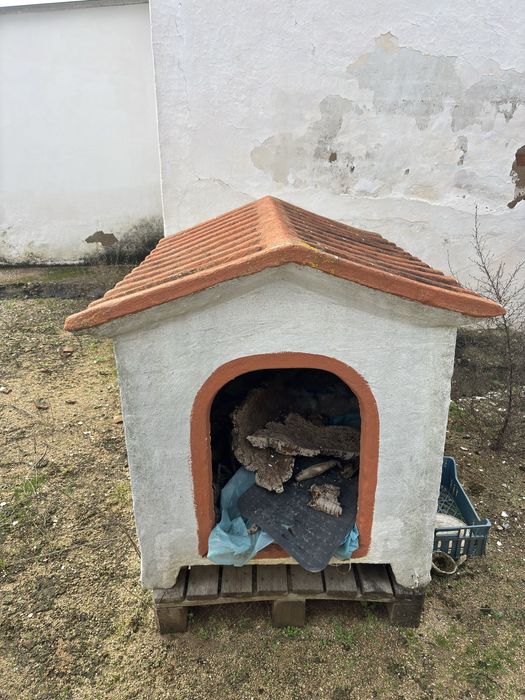 Casota para Cão Tamanha Grande