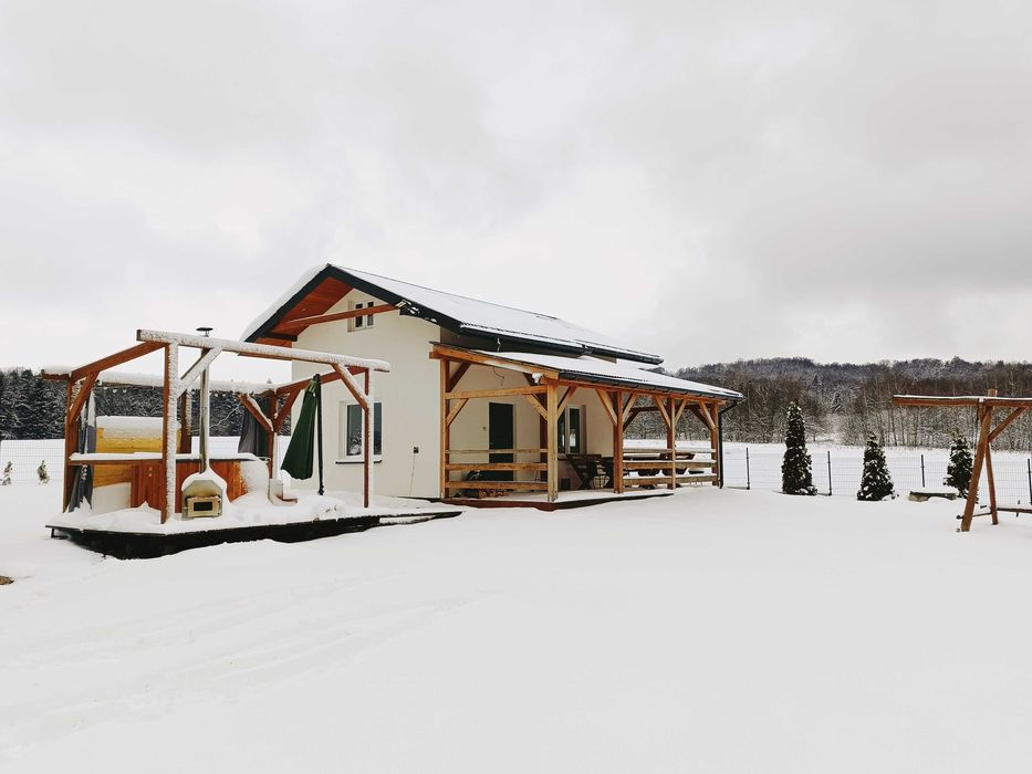 Domek nad stawem , las ,jacuzzi ,łowisko wędkarskie, Bieszczady