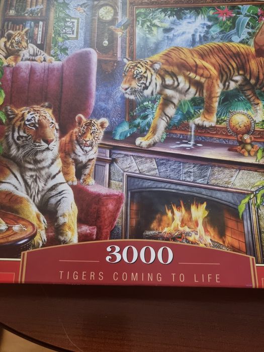 Пазли 3000 елементів.