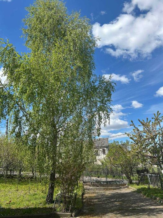 Продаж будинку в м. Горохів