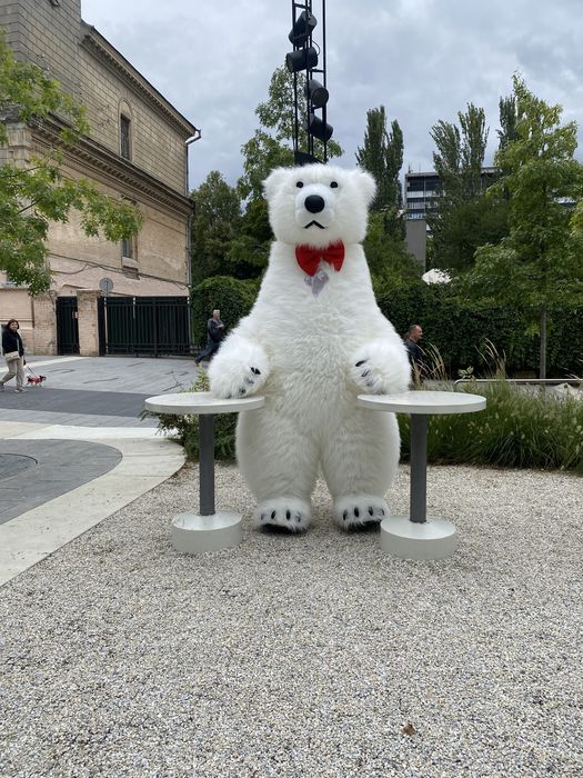 Поздравления от Белого Медведя. Привітання. Ведмедик. Білий ведмедик.