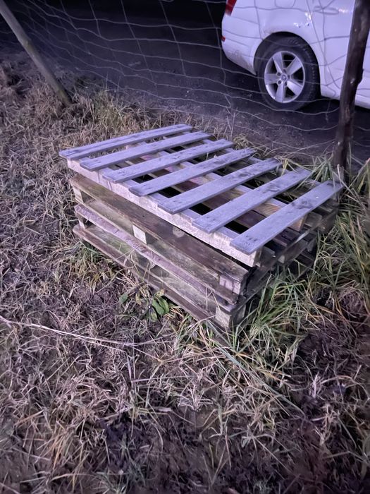 Palety za darmo odbior osobisty