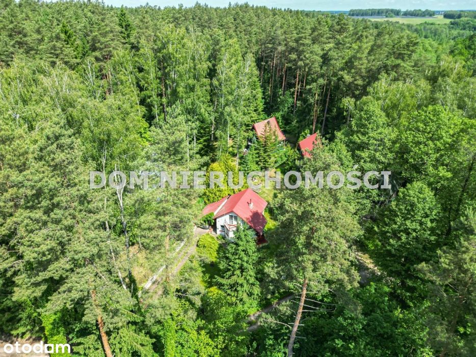 Domek letniskowy nad jeziorem, pod Olsztynem!