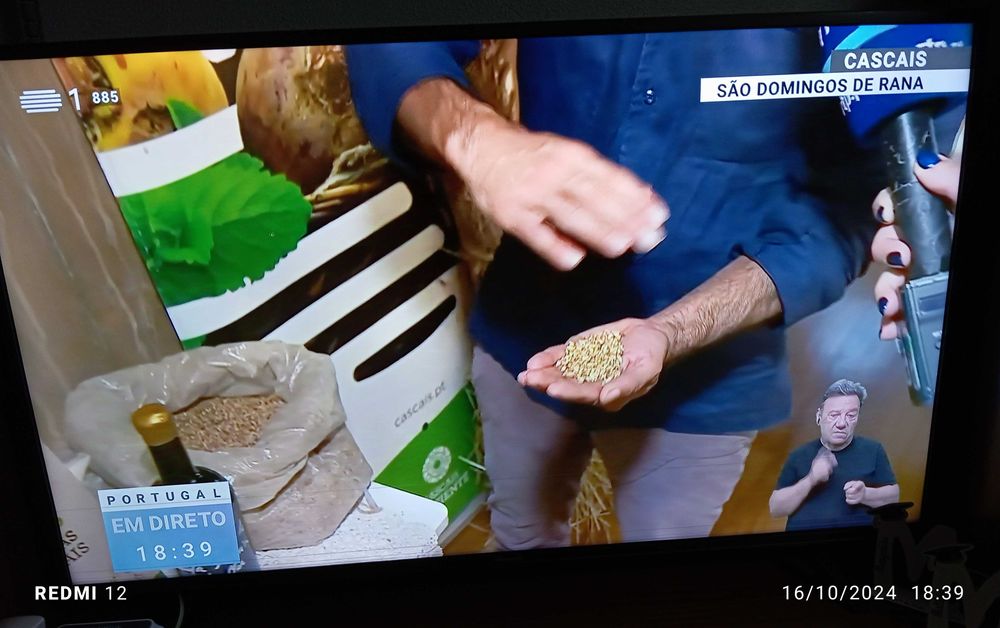 Televisão marca Hisense 43"