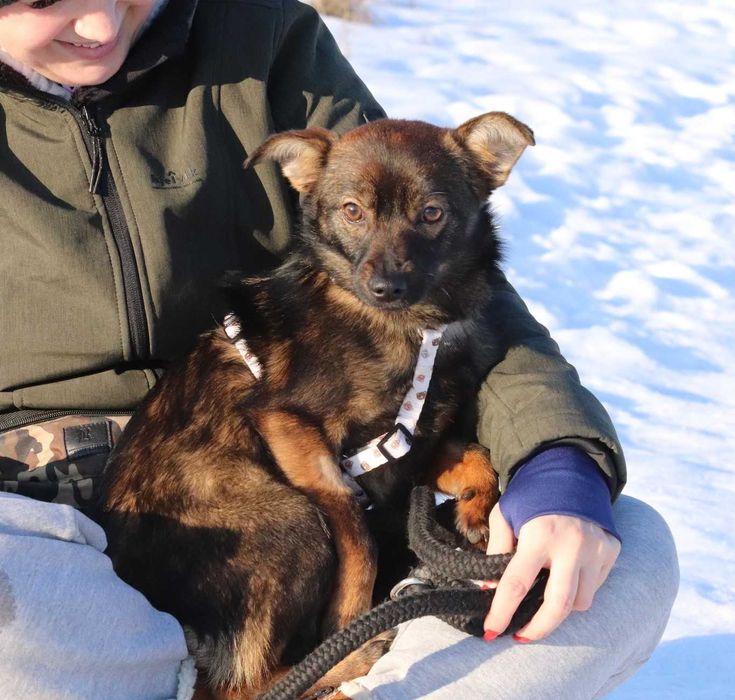 Xemira – mała iskra radości