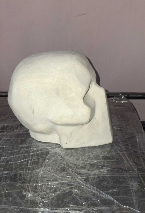 модель гіпсового черепу "обрубовка"
