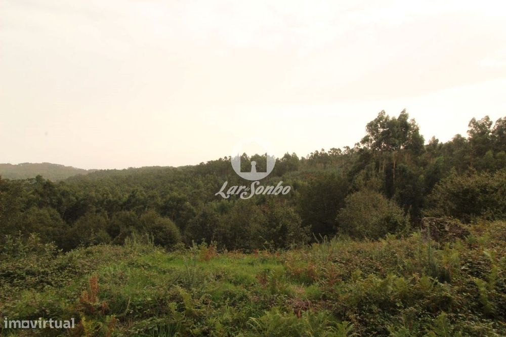 Terreno com 22.500m2 área S. Gens Fafe
