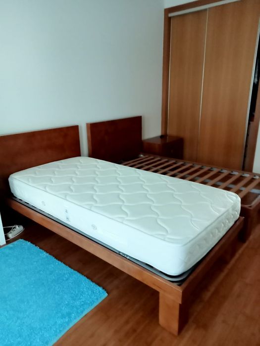 Grande oportunidade!