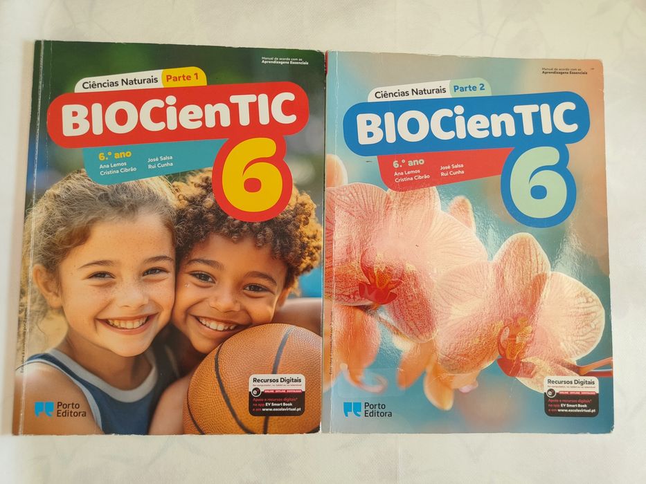 Livros escolares 5° ano e 6 ano