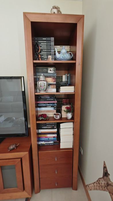 Mobilia de sala de estar