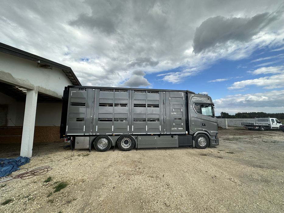 Jagnięta owce TRANSPORT do RZEŹNI na CHÓW