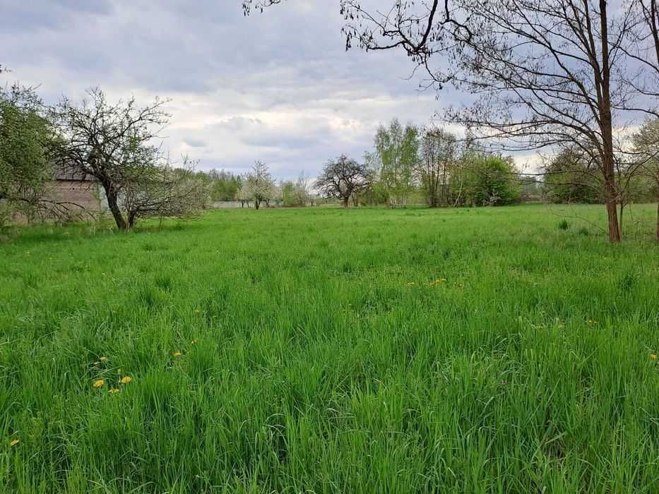 Działka budowlano-usługowo-rolna MPZP 5324 m² Marków-Tow. k.Mszczonowa - Widok 3