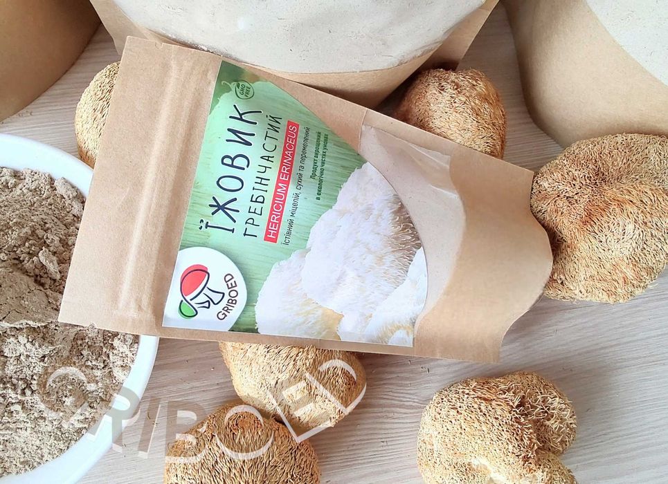 300 грам - Їжовик гребінчастий. Сухий та перемелений на порошок.