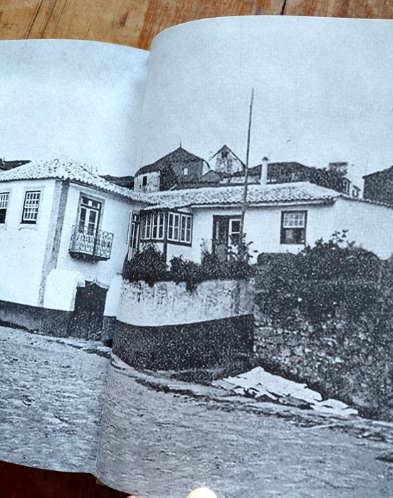João de Araújo Correia