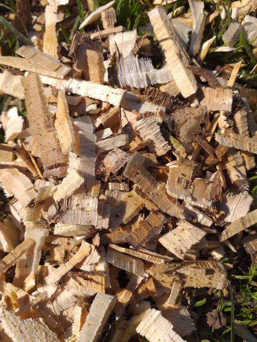 Zrębka liściasta lub iglasta worek 100L cena z VAT