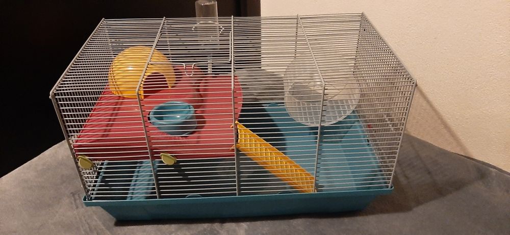 Gaiola hamster como nova