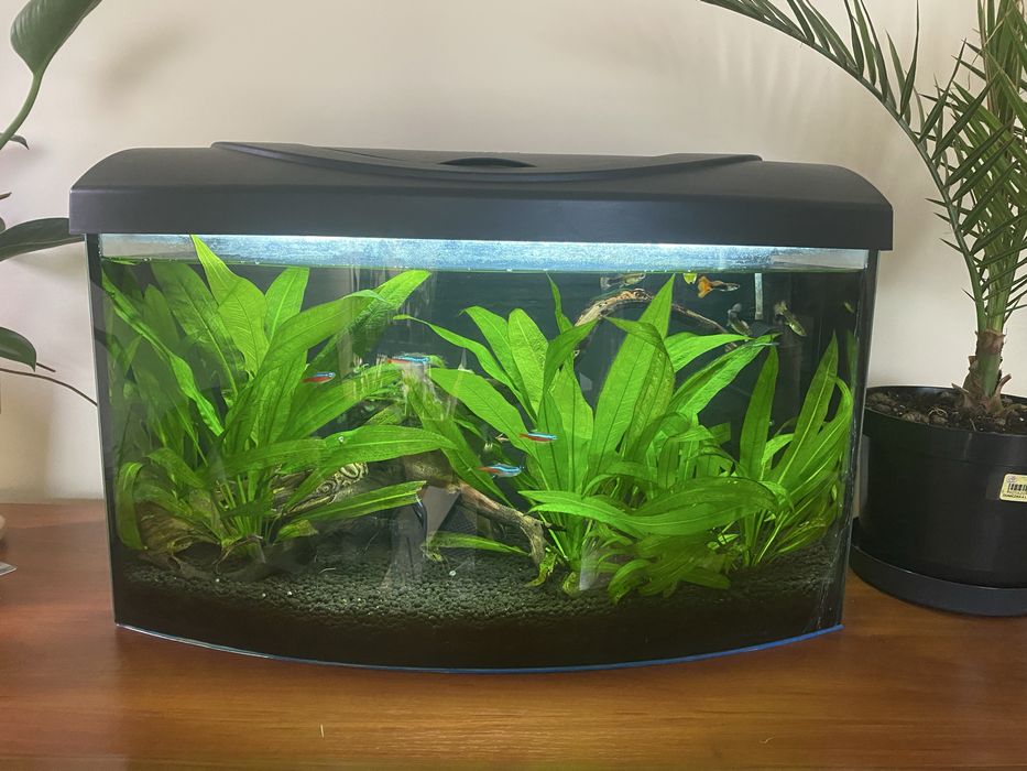 Akwarium 60l zestaw