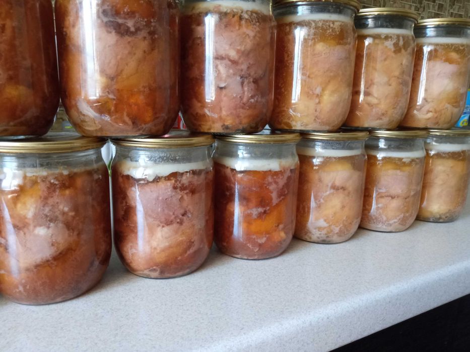 Сарган риба стріла  Тушкований в Автоклаві | Тушонки мясні та Рибні