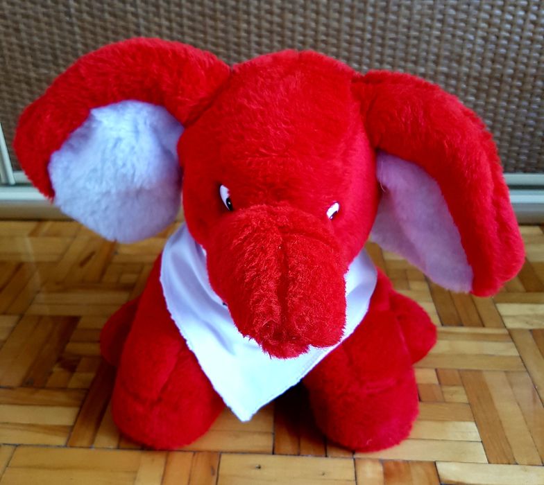 Słoń Toyota Katowice