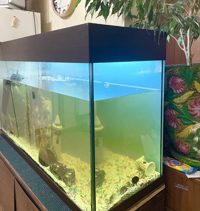 Акваріум 200л київ самовивіз