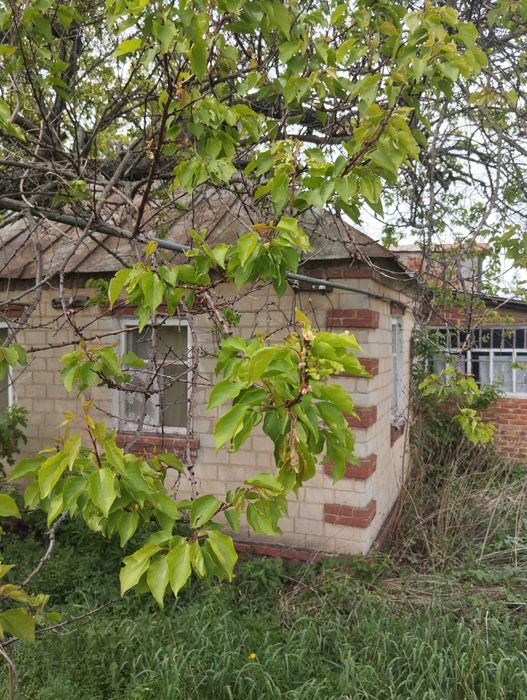 Продам дом в Нововодолажском районе рядом с Водолагой