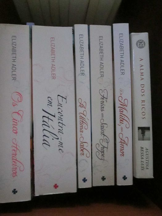 Livros diversos autores(2)