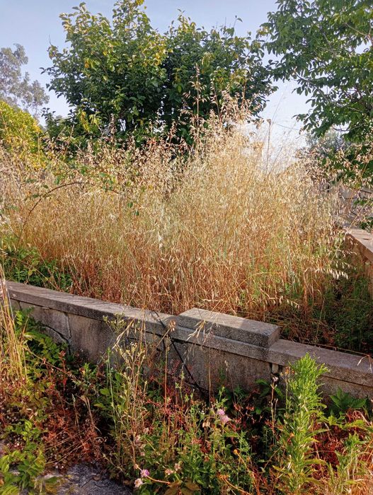 Construção e Manutenção de Jardins