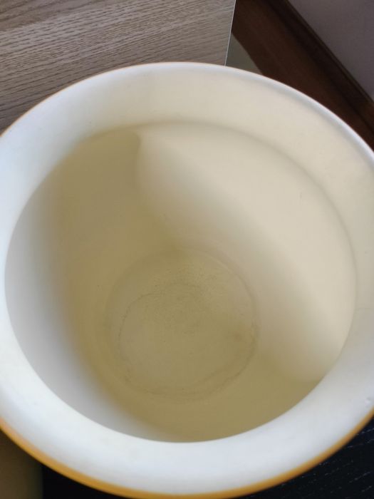 2 Porta Vasos amarelos