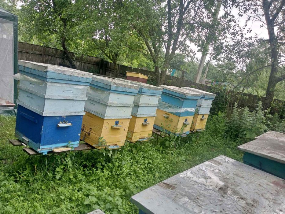 Продам Б/у корпусні вулики