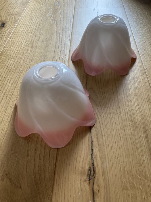 Mangas de candeeiro flor