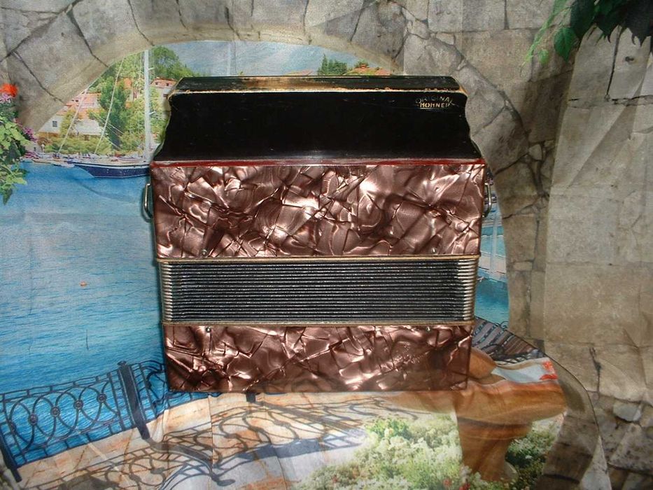 Concertina   Avenda N .983