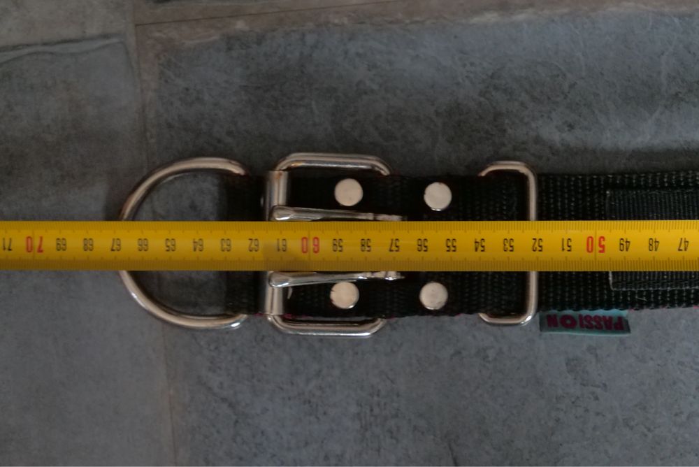 Obroża amstaff passion szeroka 5 cm